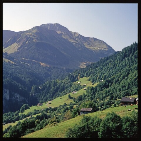 Alpe Ahornen - Bregenzerwald